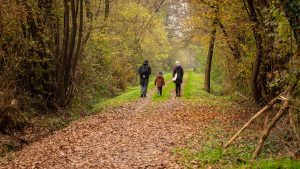 Family walking on a scenic autumn forest path in rural Croatia.